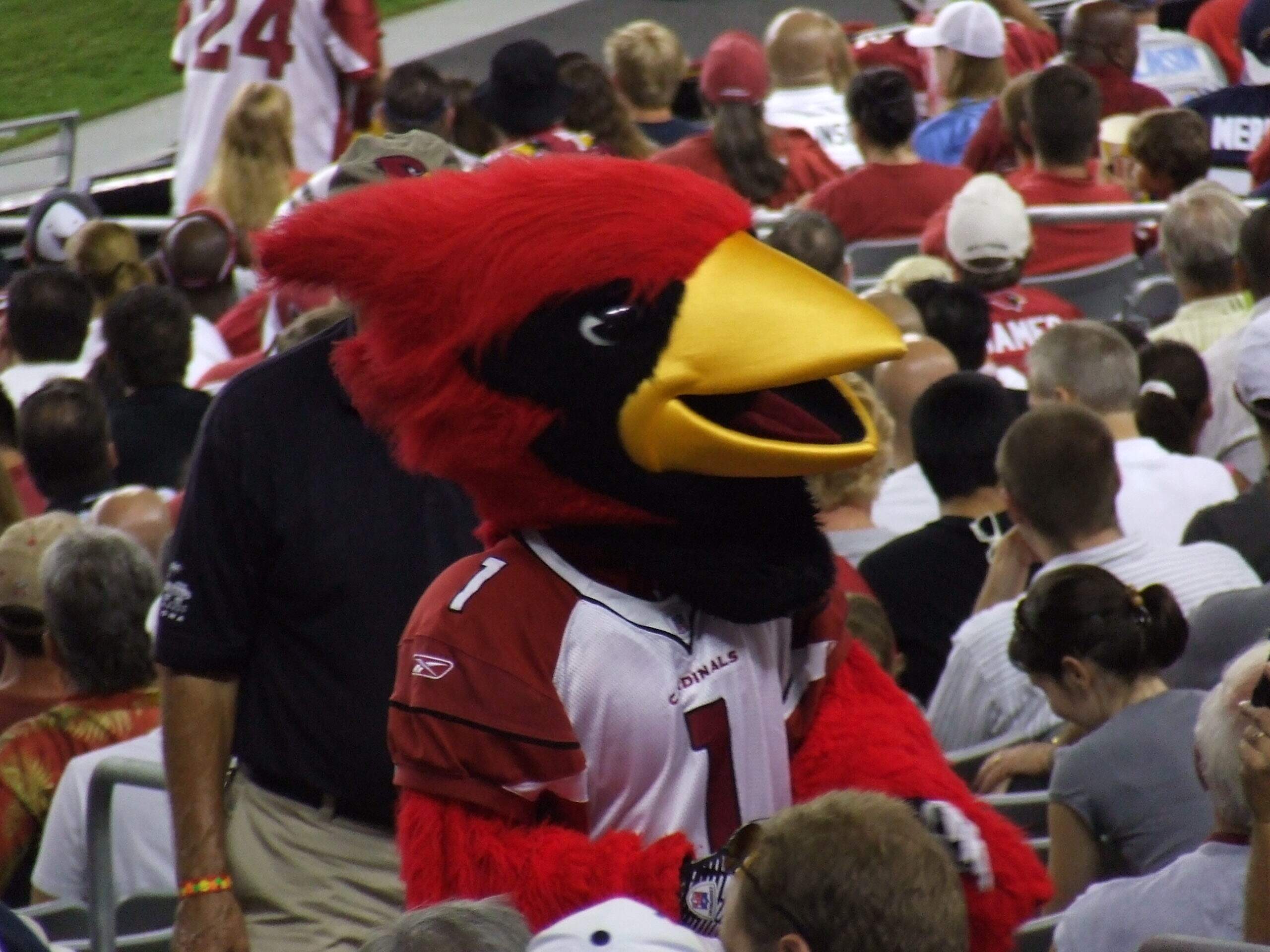 Big Red, mascote do Arizona Cardinals