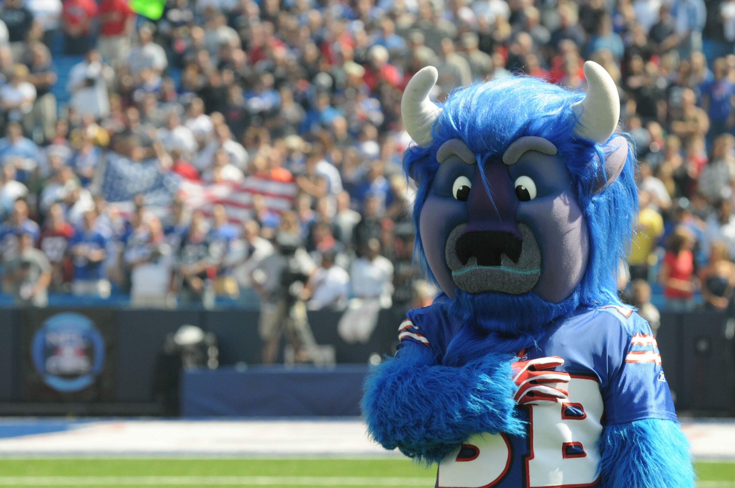 Billy the Buffalo, mascote do Buffalo Bills