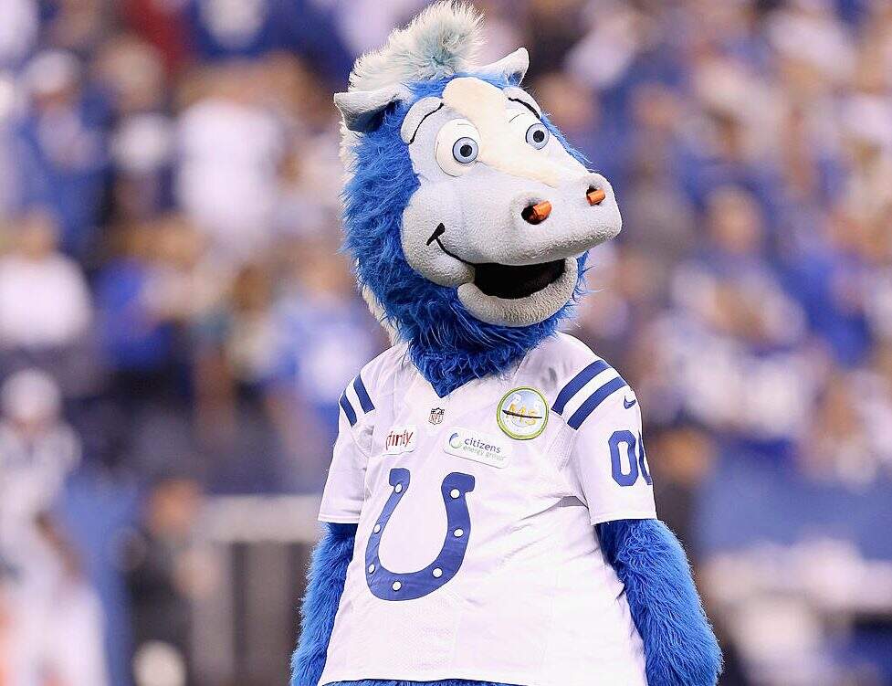 Blue, mascote do Indianapolis Colts