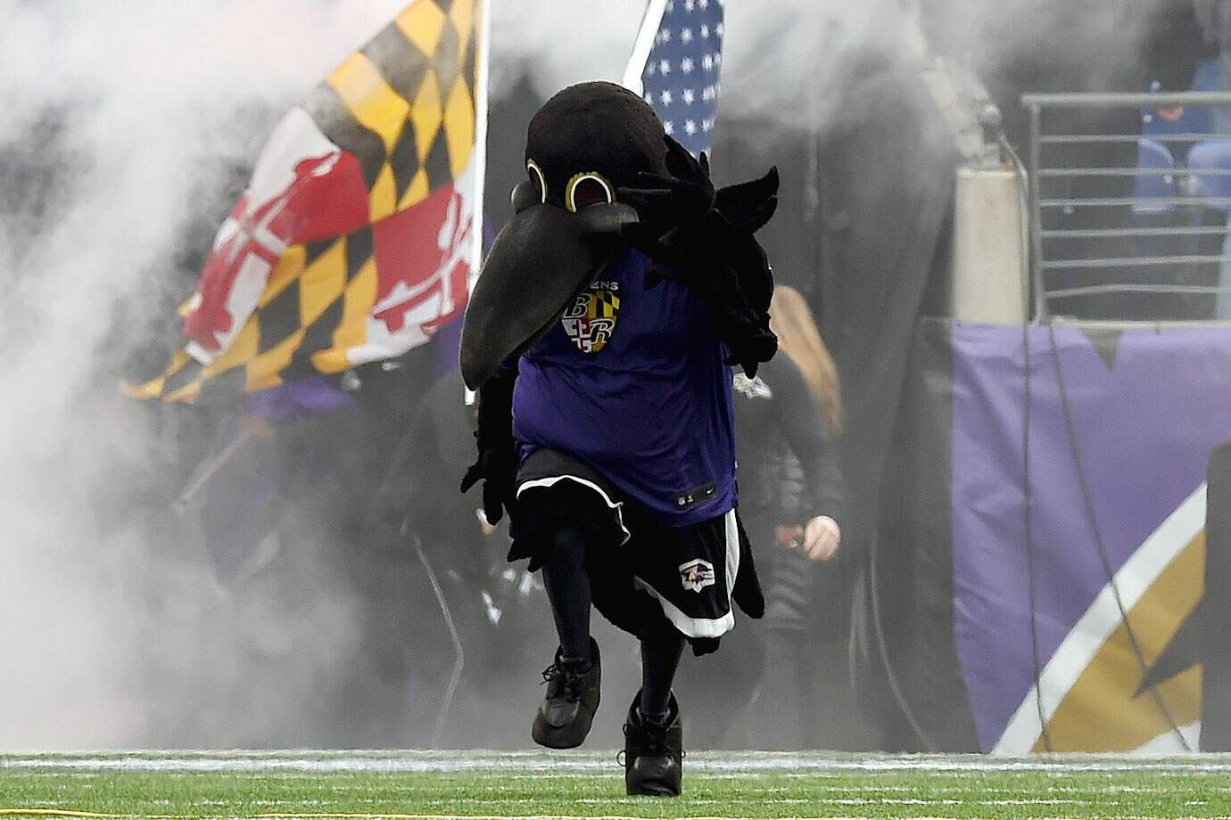 Poe, mascote do Baltimore Ravens