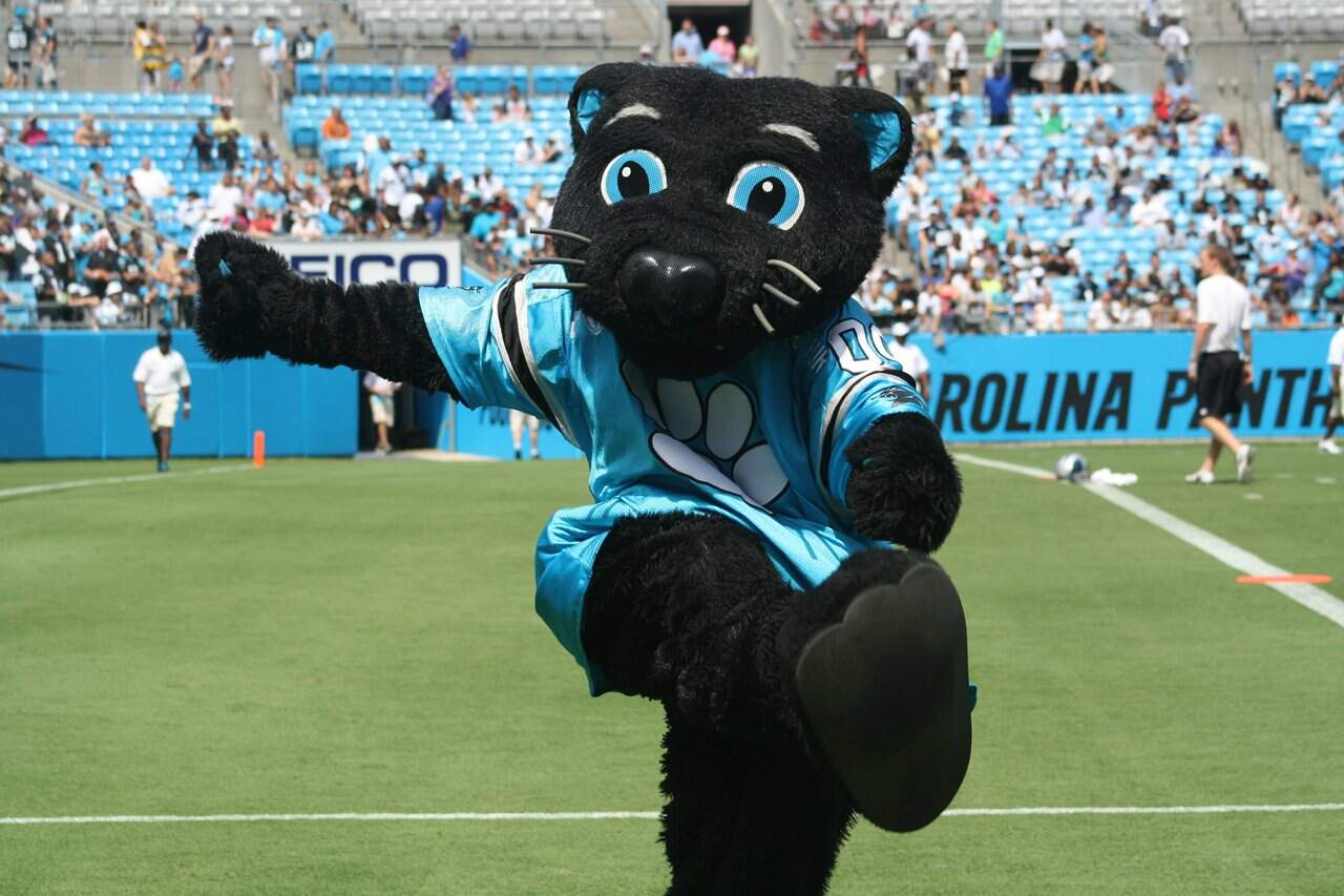 Sir Purr, mascote do Carolina Panthers