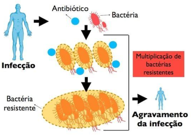 processo da resistência bacteriana