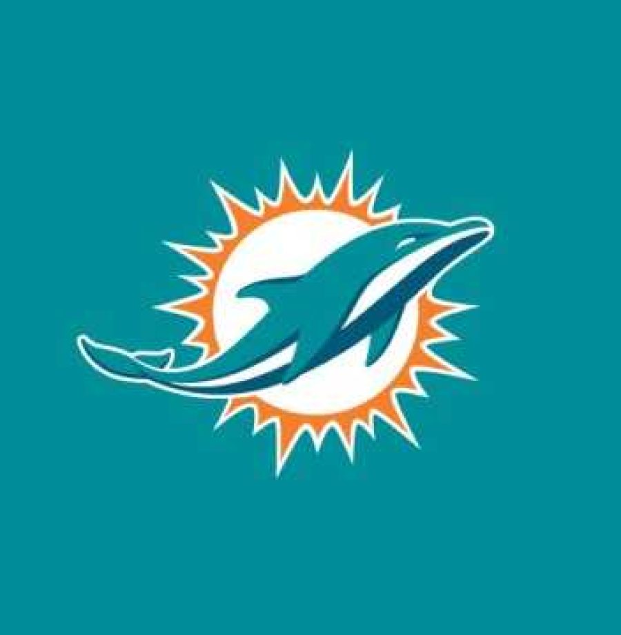 Logo dos Dolphins, número 21 do ranking de torcidas da NFL