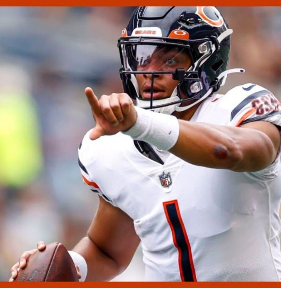 38446bc9-cecf-4ea5-90e6-c4157eeb8748