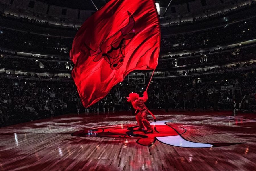 44681538_10157096512158641_3735128380664709120_o