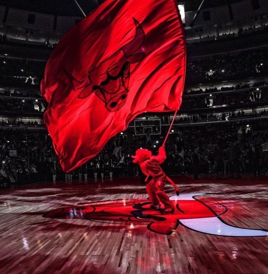 44681538_10157096512158641_3735128380664709120_o