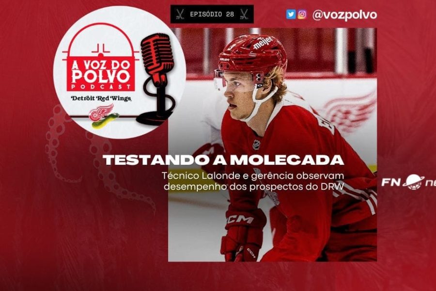 A Voz do Polvo - banner