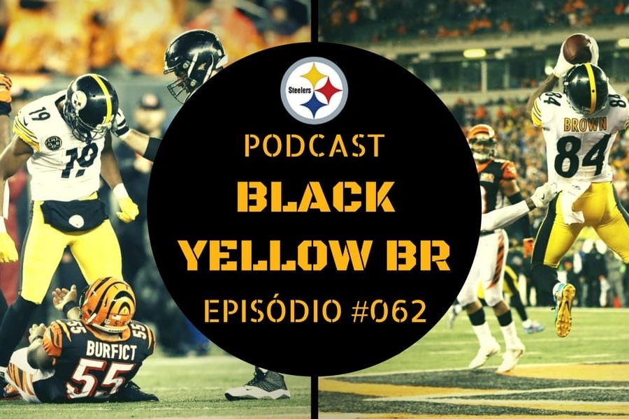 Steelers vs Bengals - Semana 13 Temporada 2017