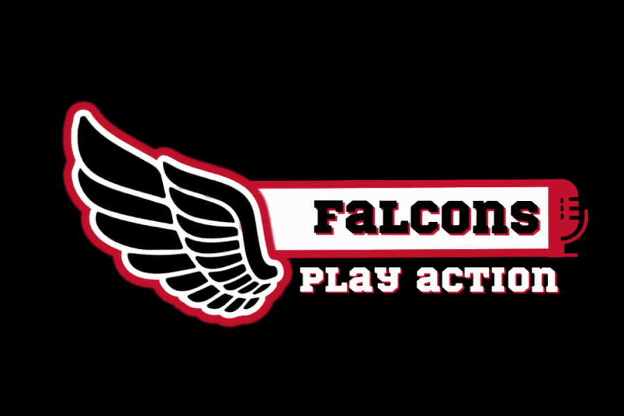 Falcons play action (1)