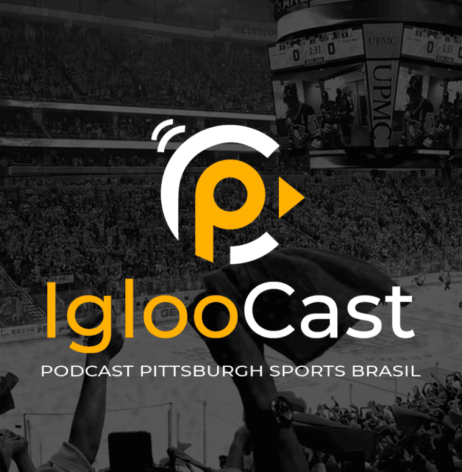 IglooCast - Large