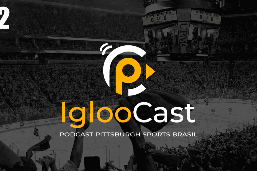 IglooCast - Large