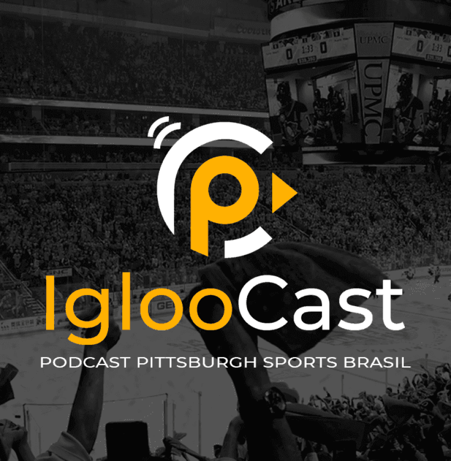IglooCast - Large