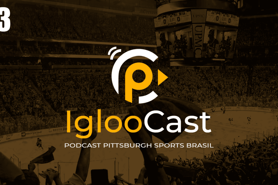 IglooCast - Large