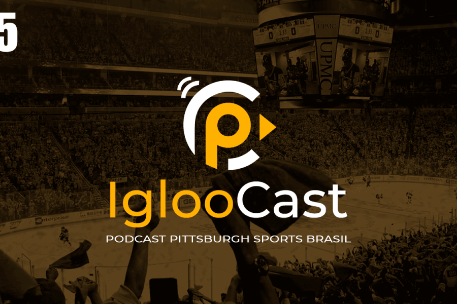 IglooCast - Large