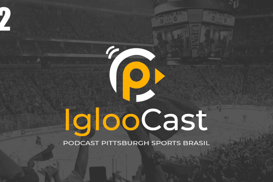 IglooCast - Large