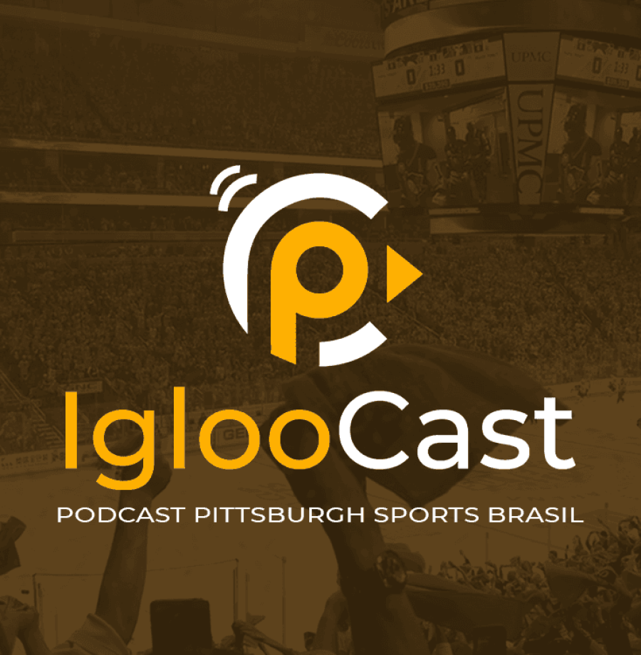 IglooCast - Large