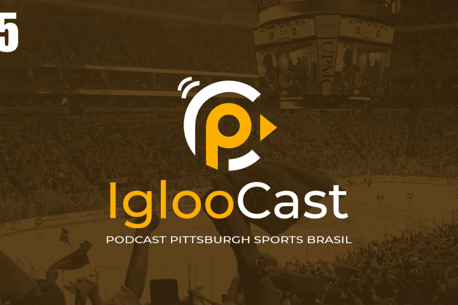 IglooCast - Large