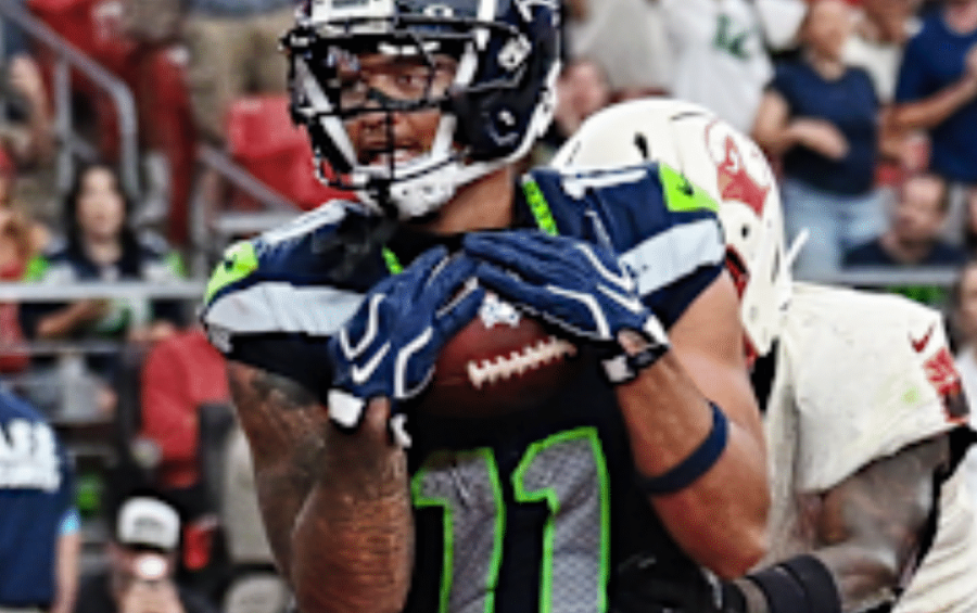 Seahawks Brasil 101