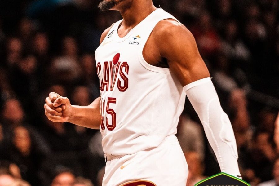 WhatsApp Image 2023-04-15 at 11.23.00