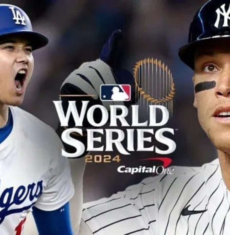 WhatsApp Image 2024-10-25 at 13.53.21