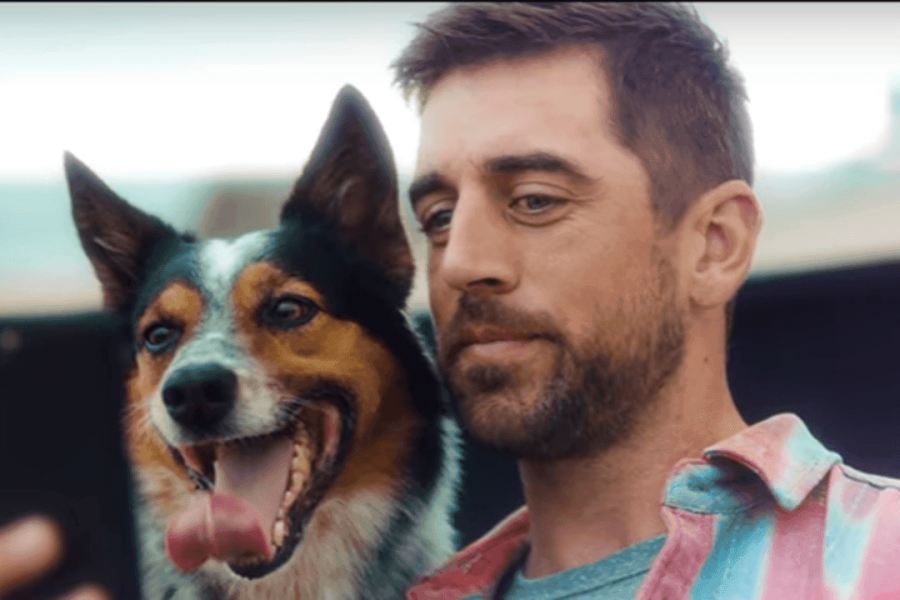 NFL e os cachorrinhos