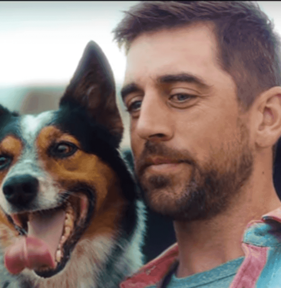 NFL e os cachorrinhos