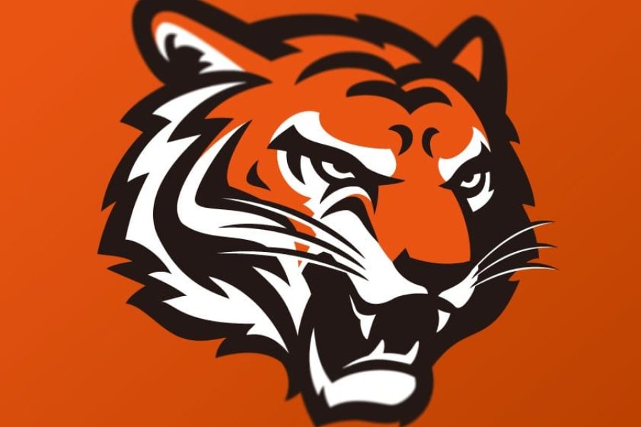 Logo dos Bengals, número 25 do ranking de torcidas da NFL