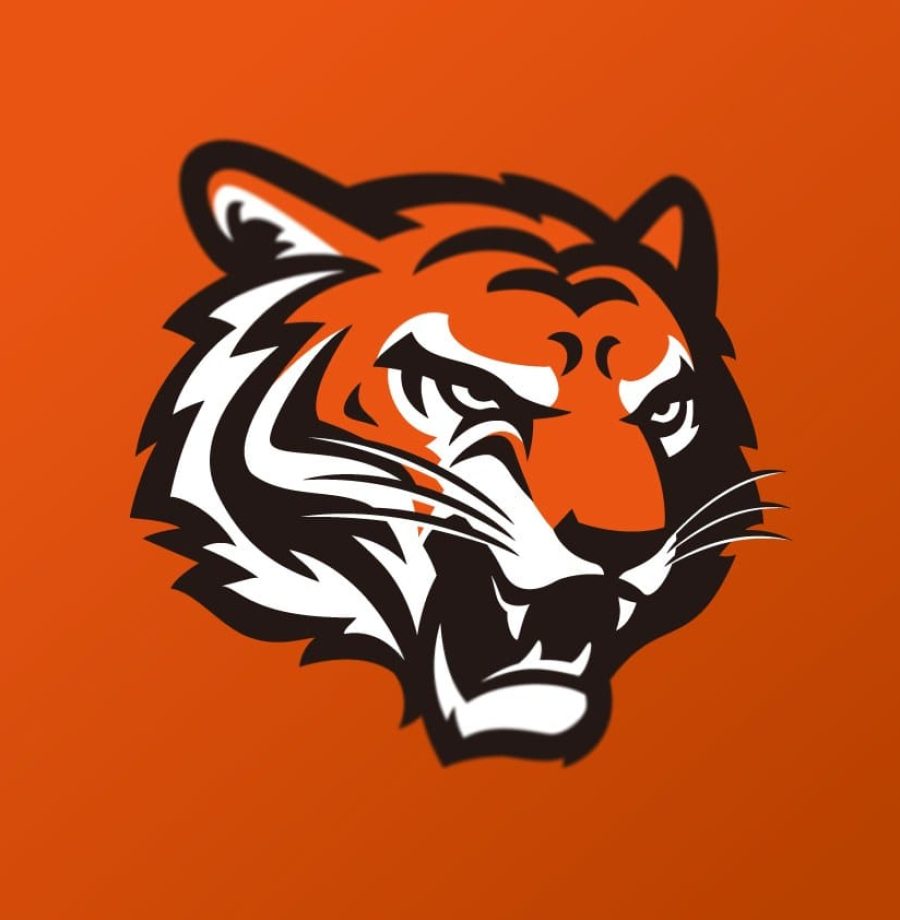 Logo dos Bengals, número 25 do ranking de torcidas da NFL