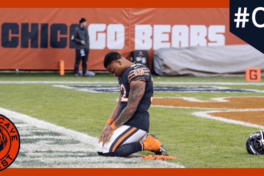 bears-cave-large NOVO (1)