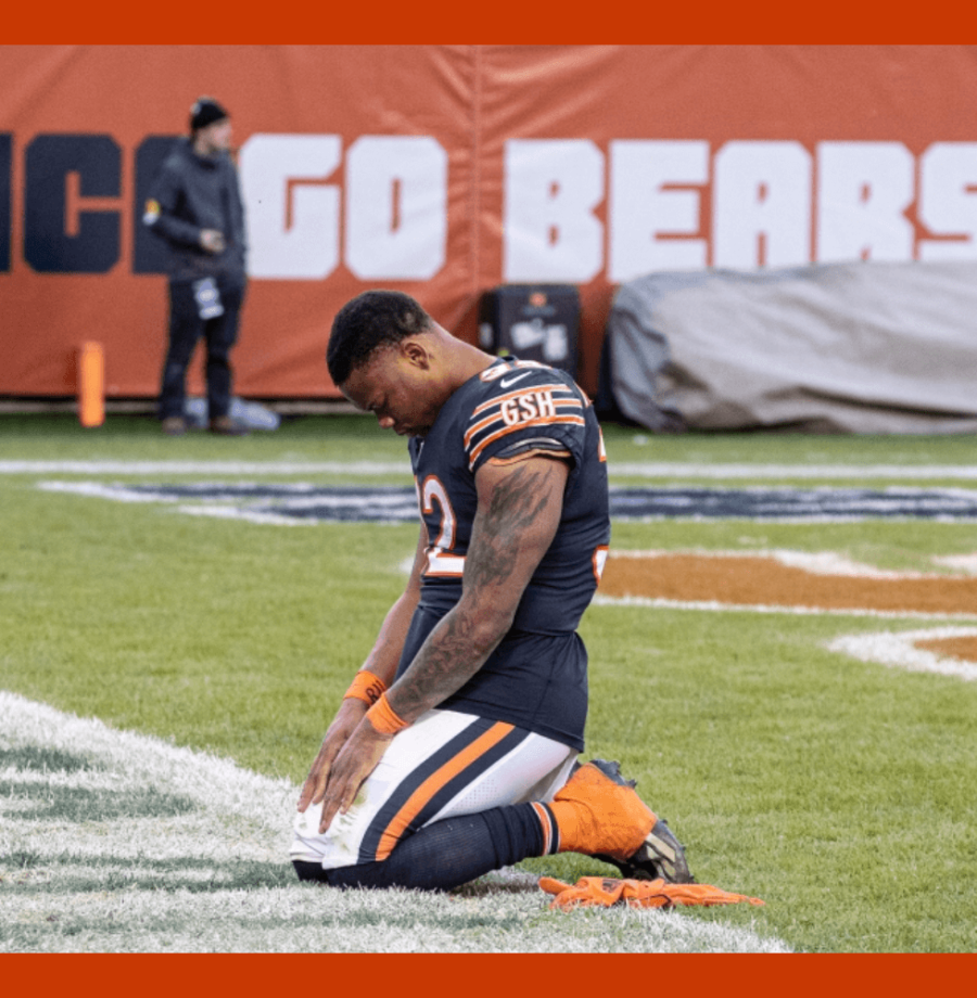 bears-cave-large NOVO (1)