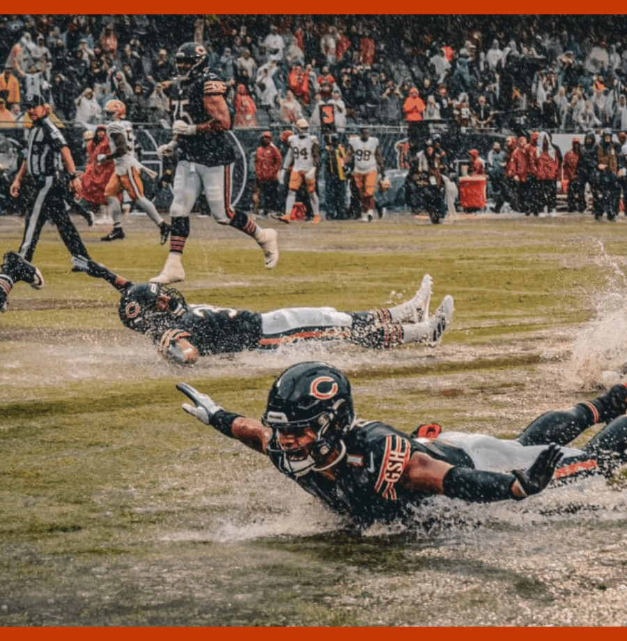 bears-cave-large NOVO (1)