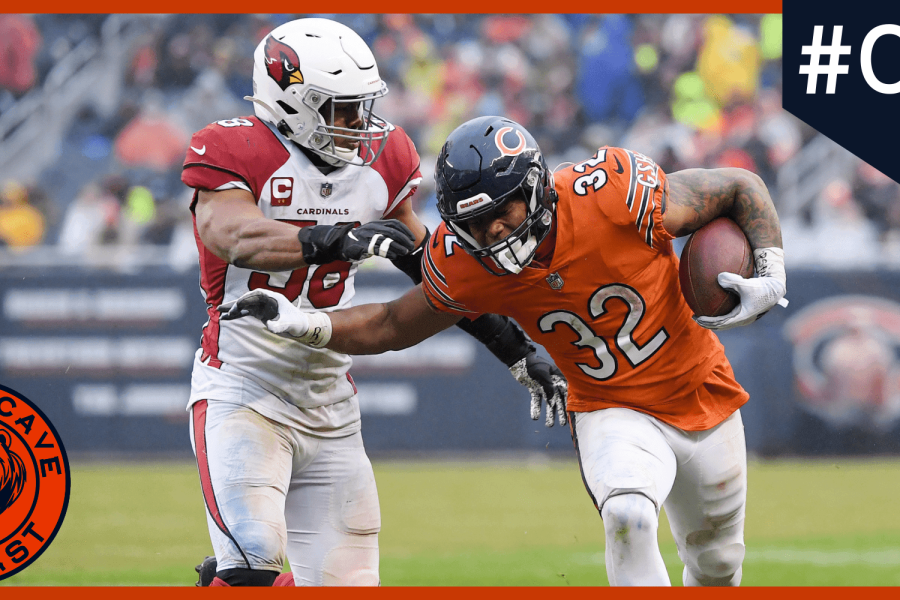 bears-cave-large NOVO (3)