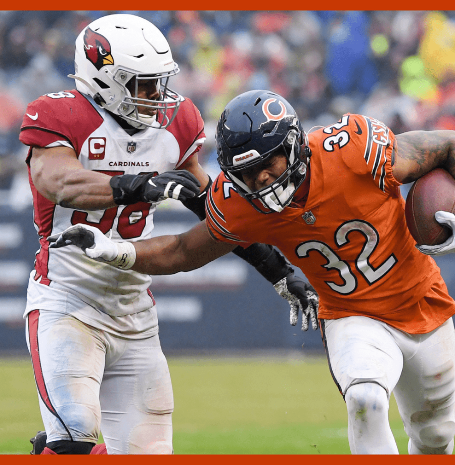 bears-cave-large NOVO (3)