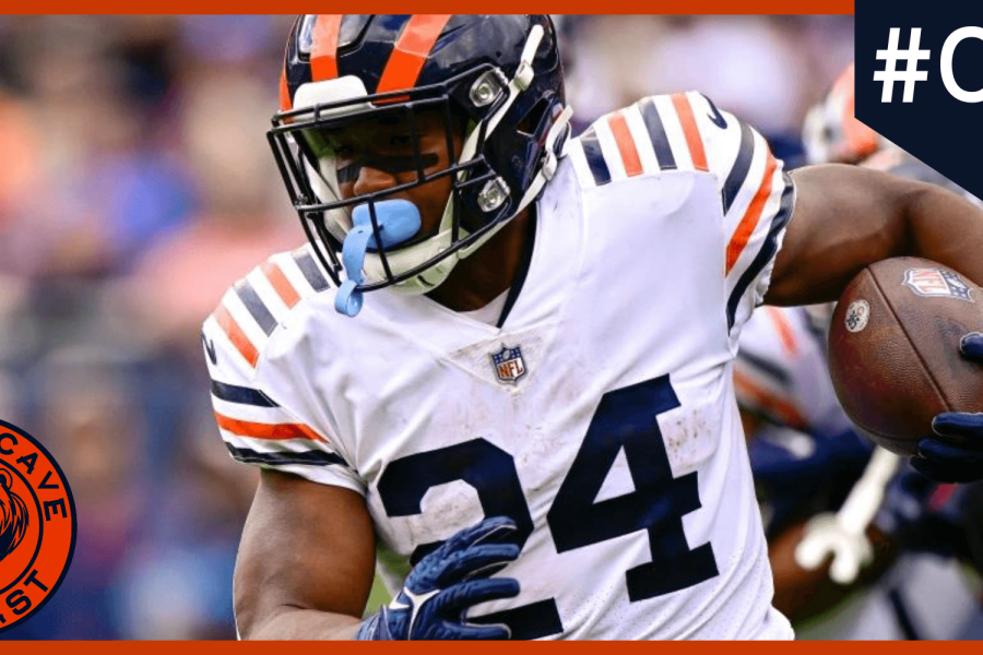 bears-cave-large NOVO (3)