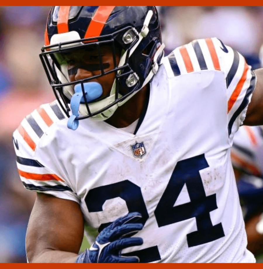 bears-cave-large NOVO (3)