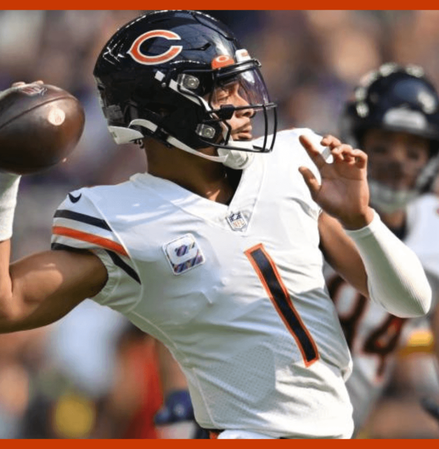 bears-cave-large NOVO (4)