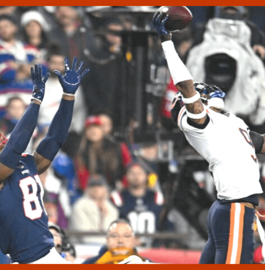 bears-cave-large NOVO (6)