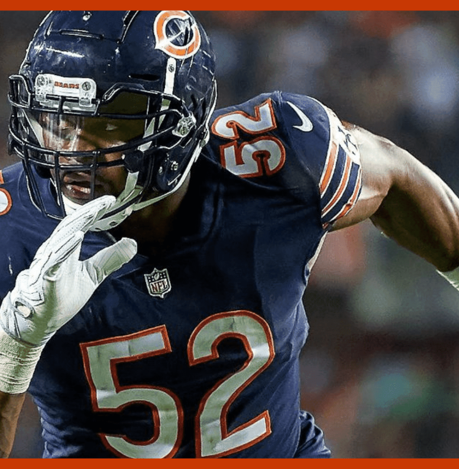 bears-cave-large NOVO (7)