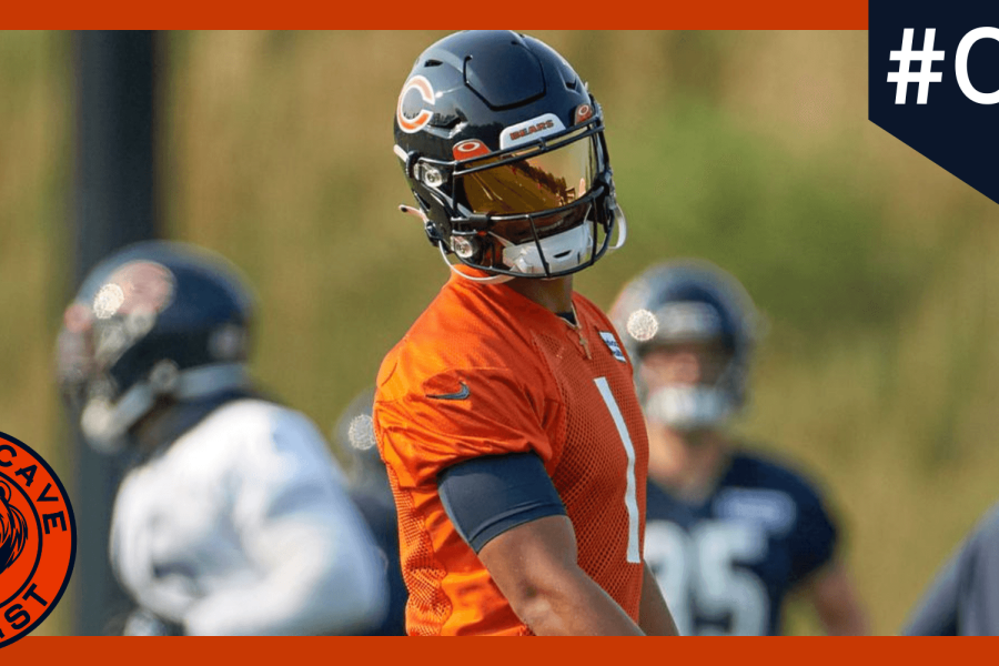 bears-cave-large NOVO