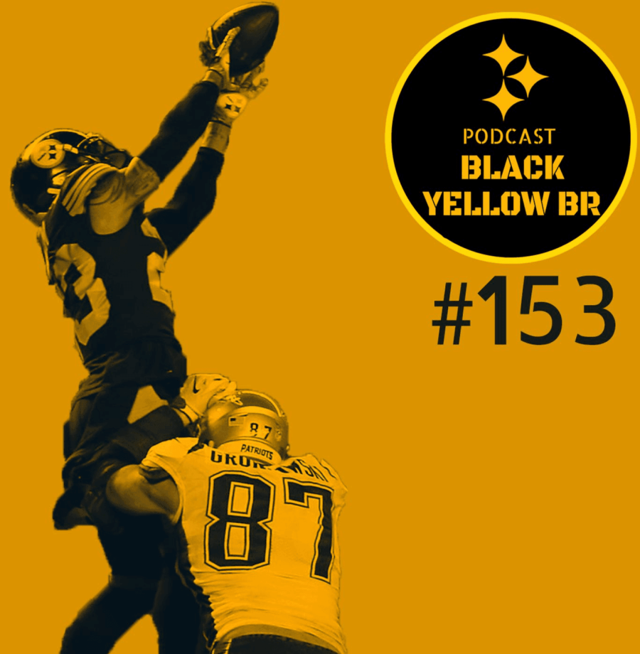 blackyellowbr-153