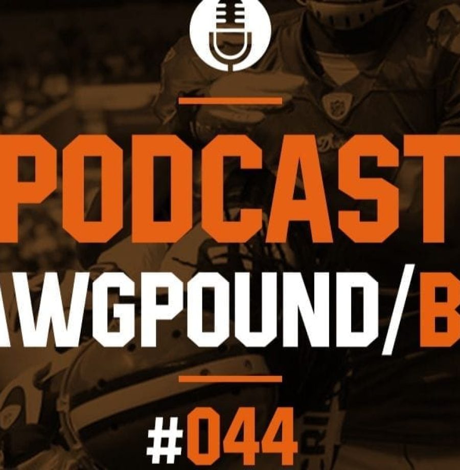 Preview Browns vs Dolphins Semana 12 2019