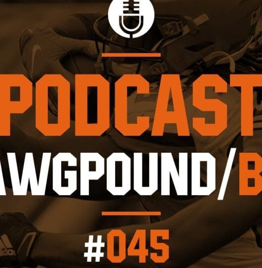 Browns vs Steelers Semana 13 2019