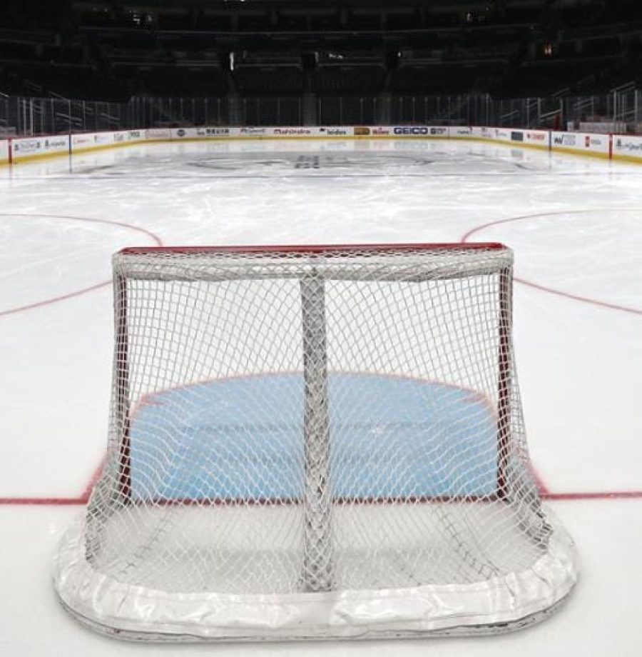 Algumas perguntas surgiram sobre a paralisação da Liga, veja as respostas dadas em entrevista feita com o comissário e com vice-comissário da NHL