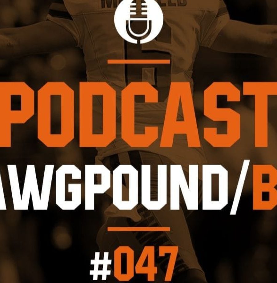 Browns vs Cardinals Semana 15 2019