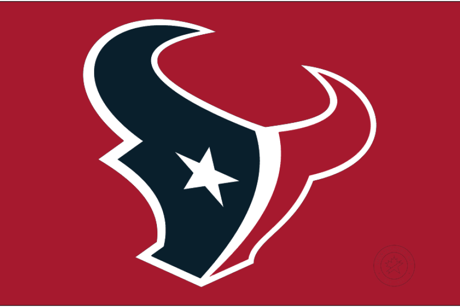 Logo dos Texans, número 24 do ranking de torcidas da NFL