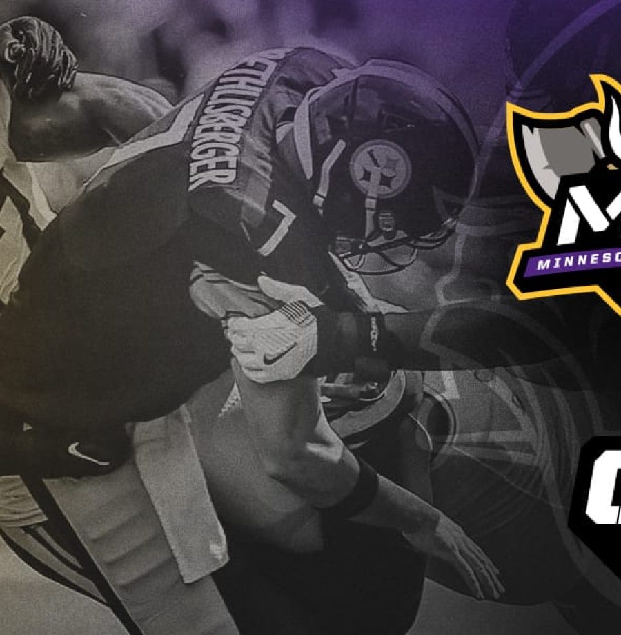 Vikings vs Steelers - Semana 2 Temporada 2017