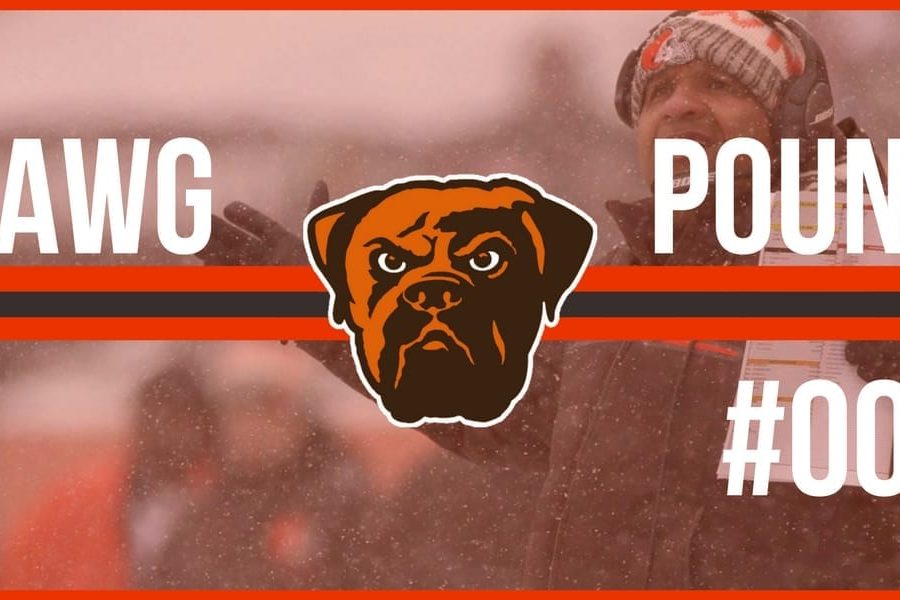 nova comissão técnica do Browns