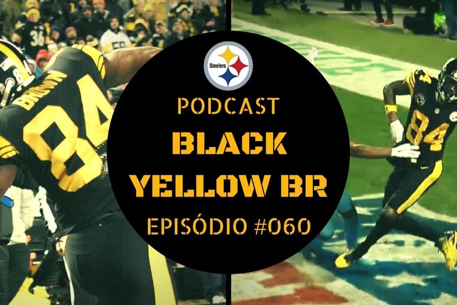 Steelers vs Titans - Semana 11 Temporada 2017