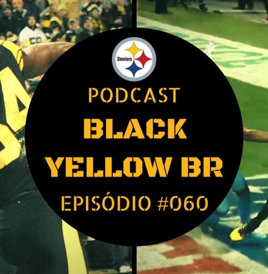 Steelers vs Titans - Semana 11 Temporada 2017