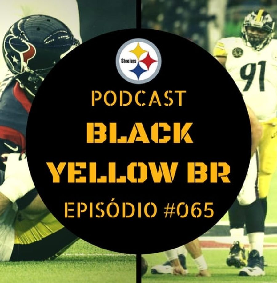 Steelers vs Texans - Semana 16 Temporada 2017